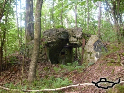 tl251